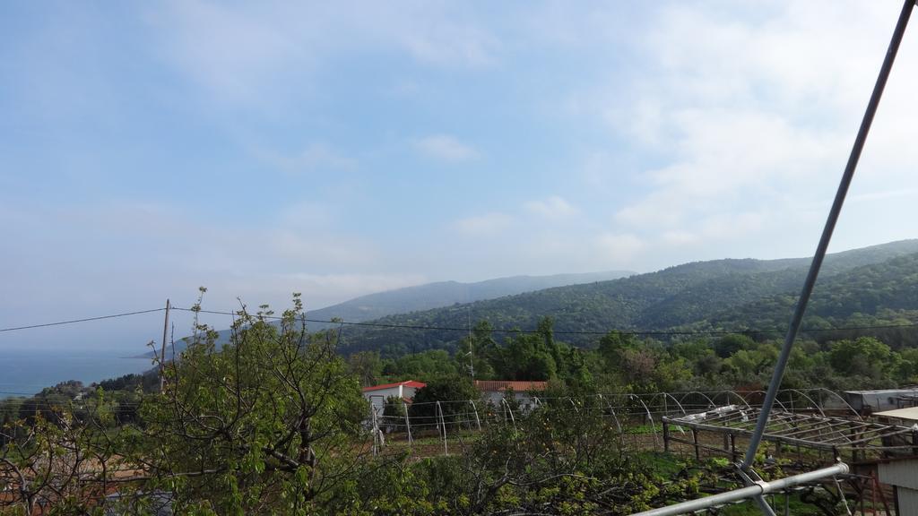 Paradies Ano Polidhendrion Номер фото